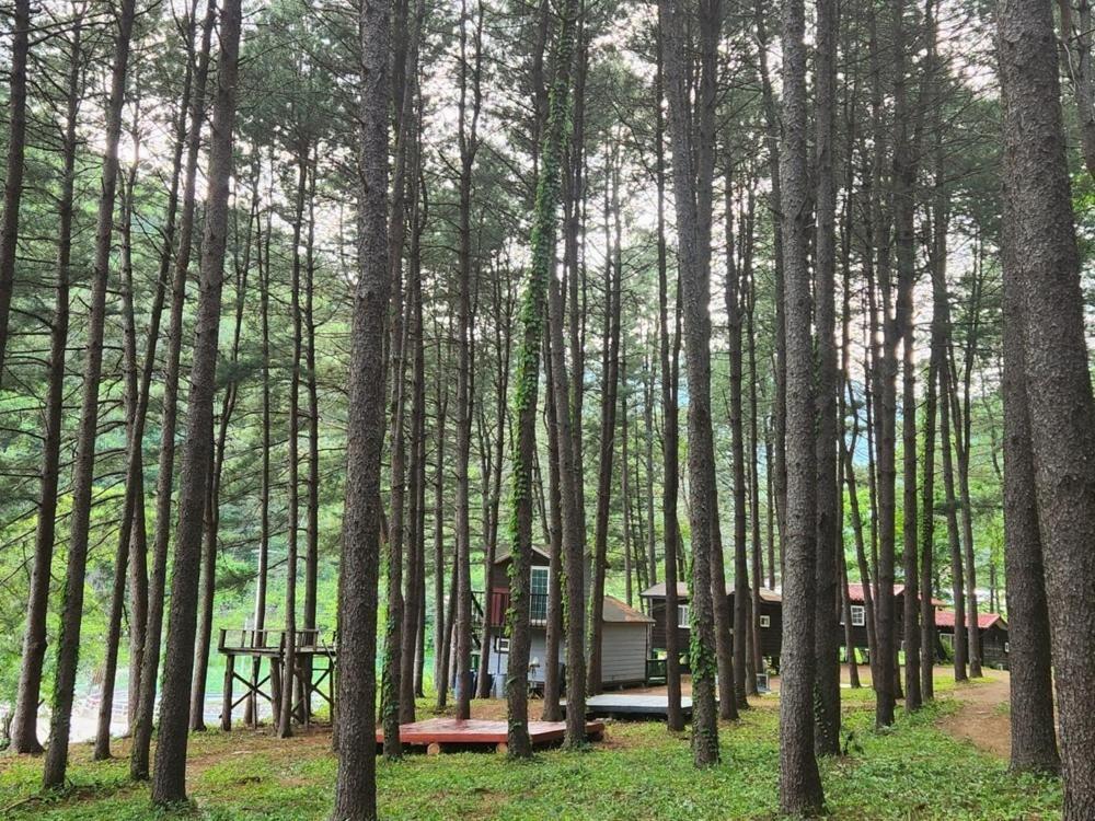 Hongcheon Gongjaksan Recreational Forest Pension Eksteriør billede