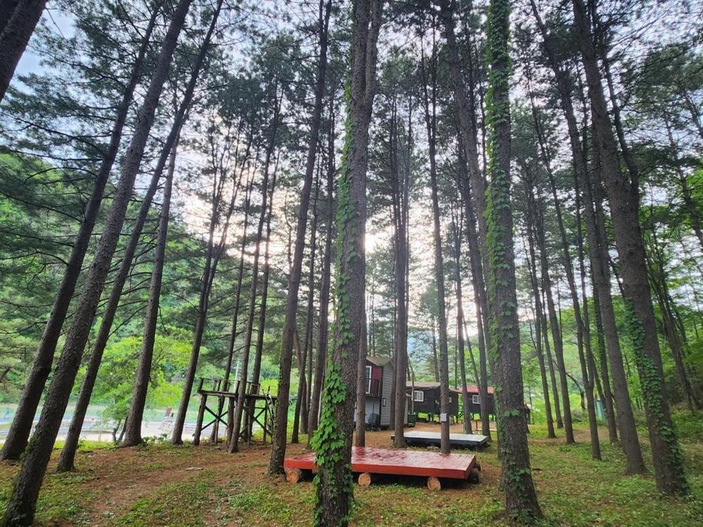 Hongcheon Gongjaksan Recreational Forest Pension Eksteriør billede